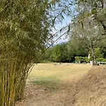 Alloro Vacanze 2 Holiday home