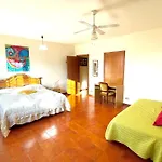 Alloro Vacanze 2 *